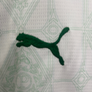 Kit Palmeiras II 25/26 Kids